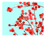 Aqua & Red Cherry Blossom