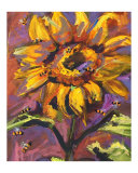 Sunflower Head and Bees - Provence France