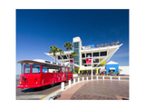 The Pier  St Petersburg  Florida