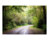 Back Road to the Park