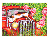 Cat On A Hot Car Roof