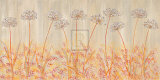 Allium Panel I