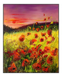 Red poppies sunset