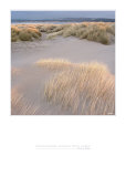 Clair de Dune