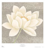 Platinum Luxe I
