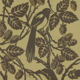 Bird Song IV