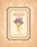 Eau de Parfum III