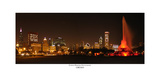 Chicago White Sox world Champions  Skyline
