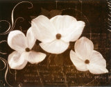 Garden Love Letter I