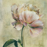 Floral Blush II