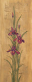 Iris of Delos II