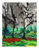 Primary Forest