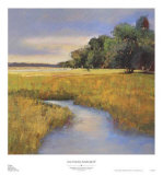 Low Country Landscape II