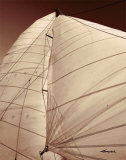 Windward Sail III