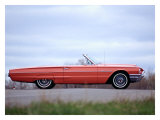 1964 Thunderbird Convertible