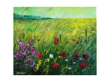 Red poppies