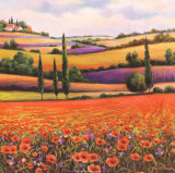 Fields of Poppies I
