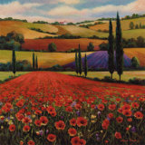Fields of Poppies II