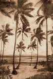 Trade Winds II