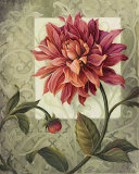 Trellised Dahlia