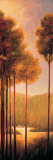 Through the Woods III