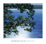 Silver Light  2006