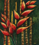 Amazon Beauty I