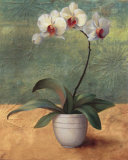Mille Fleurs II