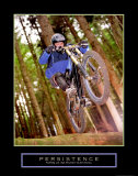 Persistence:  Dirt Bike