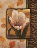 White Tulip