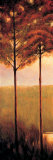 Through the Woods I