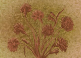 Amalia Blooms