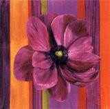 Un Amour d'Anemone