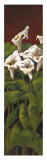 Callas I