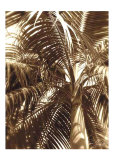 Palm Tree I