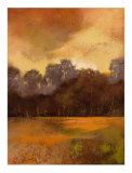 Autumn Forest I