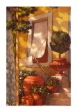 The Evening Sun