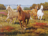 The Thundering Herd