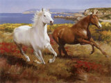 Free as the Wind