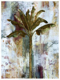 Royal Palm