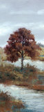 River Elm