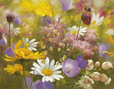 Potpourri of Flowers I