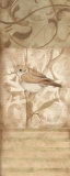 Song Bird II