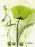 Coquelicot Vert II