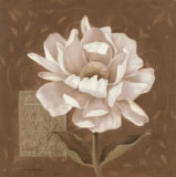 Petal Soft I