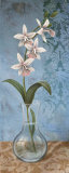 Final Serenity II