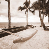 Paradise Found IV