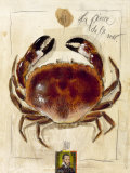 La Pince de la Mer