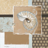 Shell Collage I