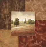 Poppy Fields I